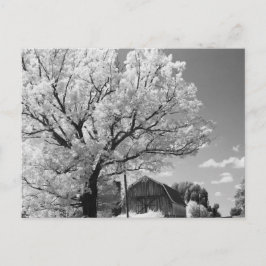 Wisconsin Farm Postcard Briefkaart