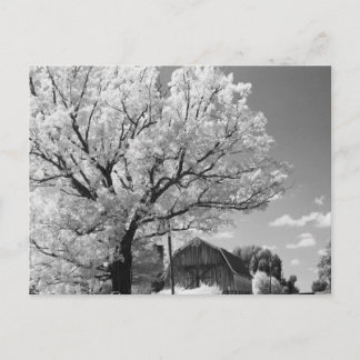 Wisconsin Farm Postcard Briefkaart