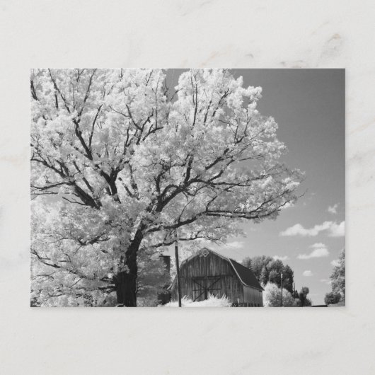 Wisconsin Farm Postcard Briefkaart (Voorkant)