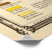 Wisconsin Geology Map (1878) Poster (Hoek)