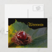 Wisconsin, herfst leder met not Briefkaart (Voorkant / Achterkant)