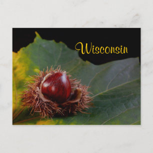 Wisconsin, herfst leder met not Briefkaart