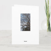 Wisconsin Humor Happy Spring Snowy Kaart (Achterkant)