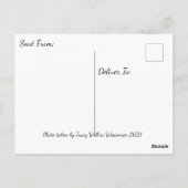 Wisconsin Landschapsfotografie Briefkaart (Achterkant)