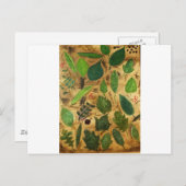 Wisconsin Leaves Briefkaart (Voorkant / Achterkant)