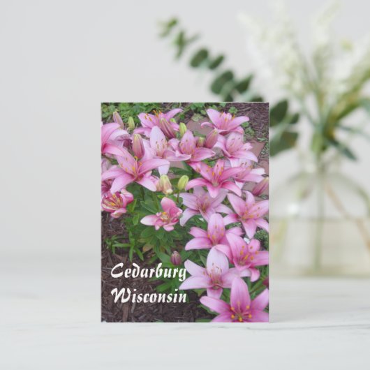 Wisconsin Lillies Briefkaart (Staand voorkant)