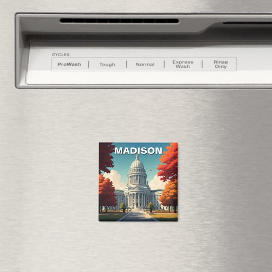 Wisconsin Madison State Capitol Magneet (Insitu (Vaatwasser))