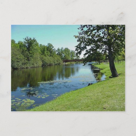 Wisconsin Medford Stream River Water Park Picnic Briefkaart (Voorkant)