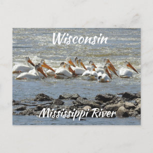 Wisconsin, Mississippi River Memorabilia Briefkaart