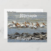 Wisconsin, Mississippi River Memorabilia Briefkaart (Voorkant / Achterkant)