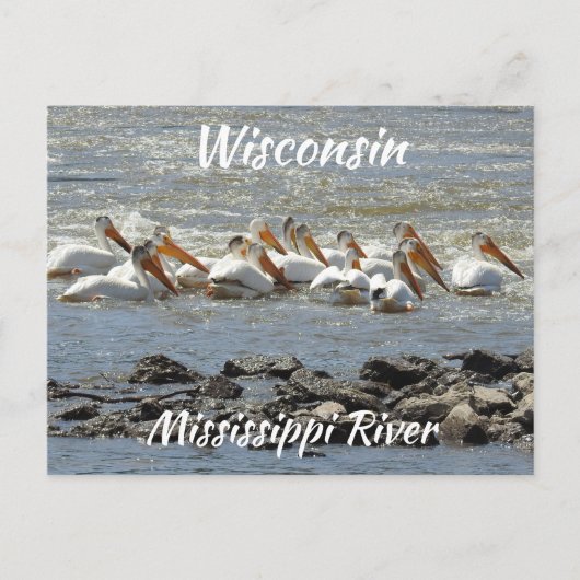 Wisconsin, Mississippi River Memorabilia Briefkaart (Voorkant)