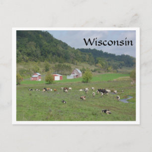 Wisconsin Pasture Briefkaart