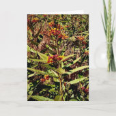 Wisconsin Red Tree Wildflower Kaart (Voorkant)