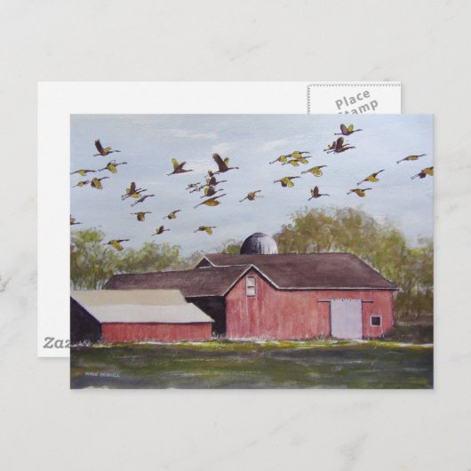 Wisconsin Sand Cranes - briefkaart (Voorkant / Achterkant)