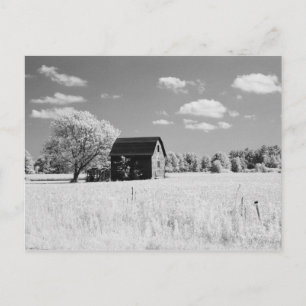 Wisconsin Schuur Foto Herdruk Briefkaart