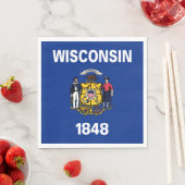 Wisconsin Staatsvlag Servet (Insitu)