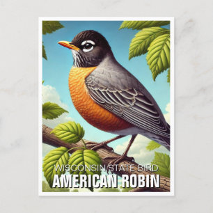Wisconsin State Bird American Robin Briefkaart