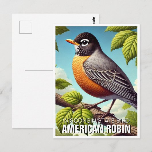 Wisconsin State Bird American Robin Briefkaart (Voorkant / Achterkant)