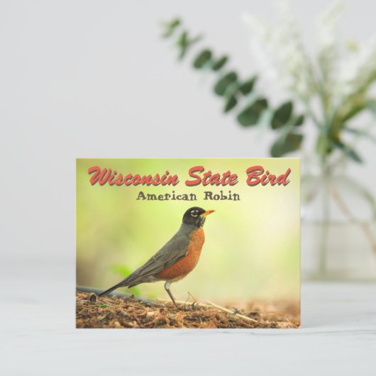 Wisconsin State Bird Robin Briefkaart (Staand voorkant)