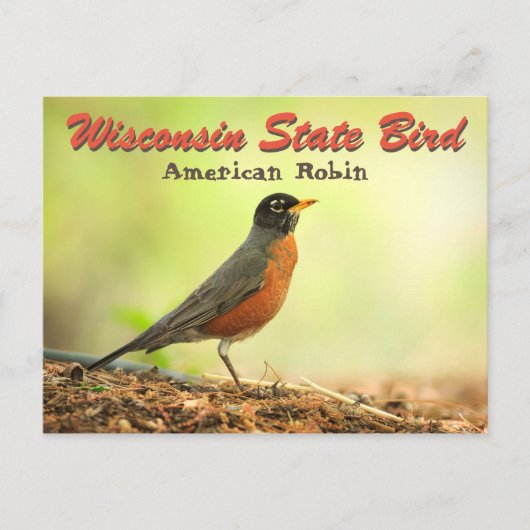 Wisconsin State Bird Robin Briefkaart (Voorkant)
