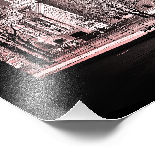 Wisconsin State Capitol Foto Afdruk (Hoek)