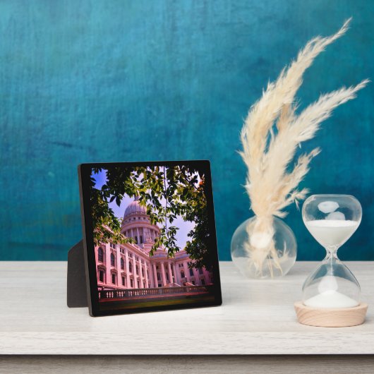 Wisconsin State Capitol Fotoplaat (Insitu)