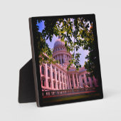Wisconsin State Capitol Fotoplaat (Voorkant)