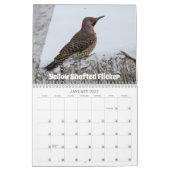 Wisconsin Vogelkalender 2026 Kalender (Jan 2027)