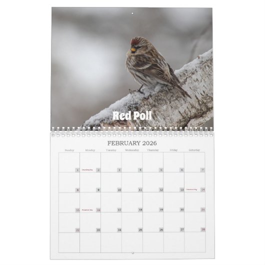 Wisconsin Vogelkalender 2026 Kalender (Feb 2026)