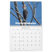 Wisconsin Vogelkalender 2026 Kalender (Mar 2026)