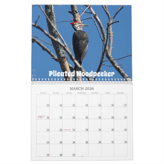 Wisconsin Vogelkalender 2026 Kalender (Mar 2026)