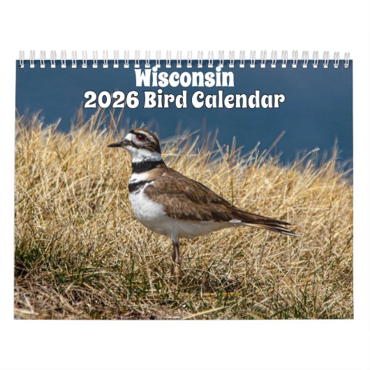 Wisconsin Vogels Kalender 2026 (Hoes)