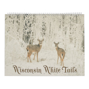 Wisconsin White Tails Kalender