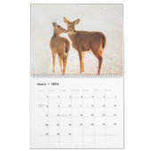 Wisconsin White Tails Kalender (Mar 2026)