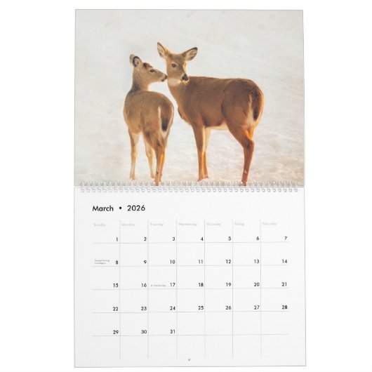 Wisconsin White Tails Kalender (Mar 2026)