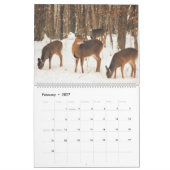 Wisconsin White Tails Kalender (Feb 2027)