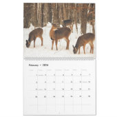 Wisconsin White Tails Kalender (Feb 2026)
