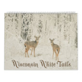 Wisconsin White Tails Kalender (Hoes)