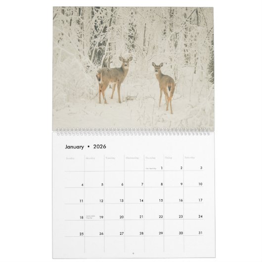 Wisconsin White Tails Kalender (Jan 2026)
