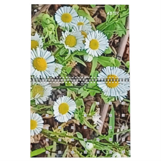 Wisconsin Wildbloemen 2023 Kalender (Jan 2026)