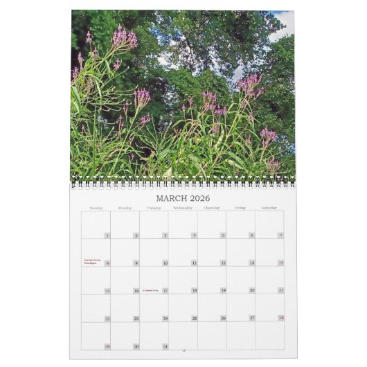 Wisconsin Wildbloemen 2023 Kalender (Mar 2026)