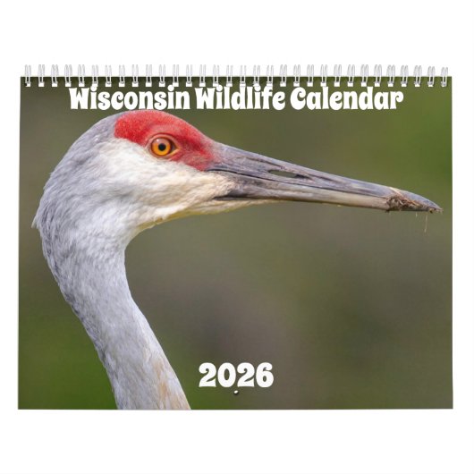 Wisconsin Wilde Dieren Kalender 2026 (Hoes)