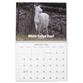 Wisconsin Wildlife Calendar 2026 Kalender (Jan 2026)