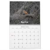 Wisconsin Wildlife Calendar 2026 Kalender (Mar 2026)