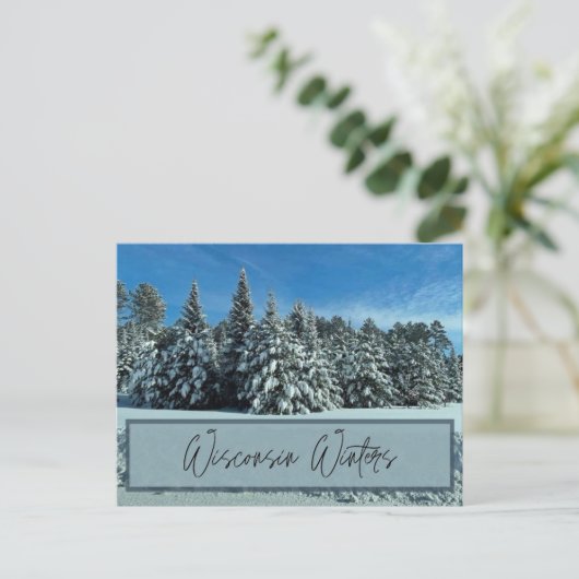 Wisconsin Winters Briefkaart (Staand voorkant)
