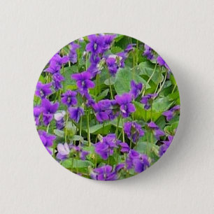 Wisconsin Wood Violets Pin-Back Button