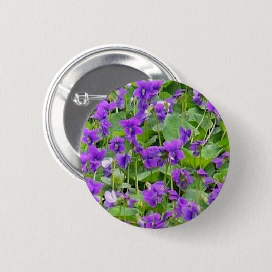 Wisconsin Wood Violets Pin-Back Button (Voorkant /achterkant)