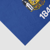 Wisconsinse staatsvlag tissuepapier (Detail)