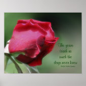 Wisdom Aging Quote Rosebud Inspirerend Poster (Voorkant)
