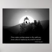 Wisdom als een raven poster (Voorkant)